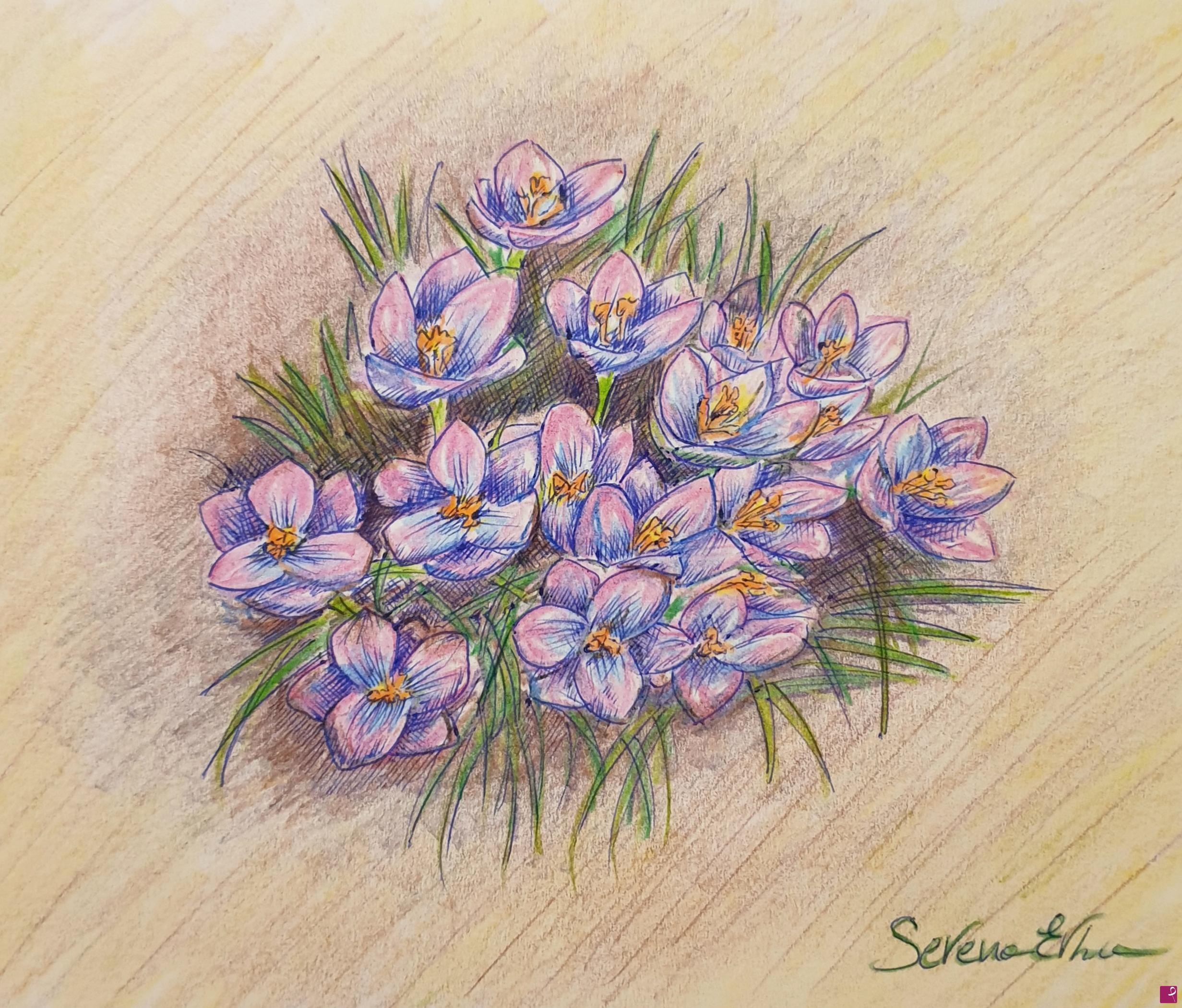 quadri in vendita online - Crocus