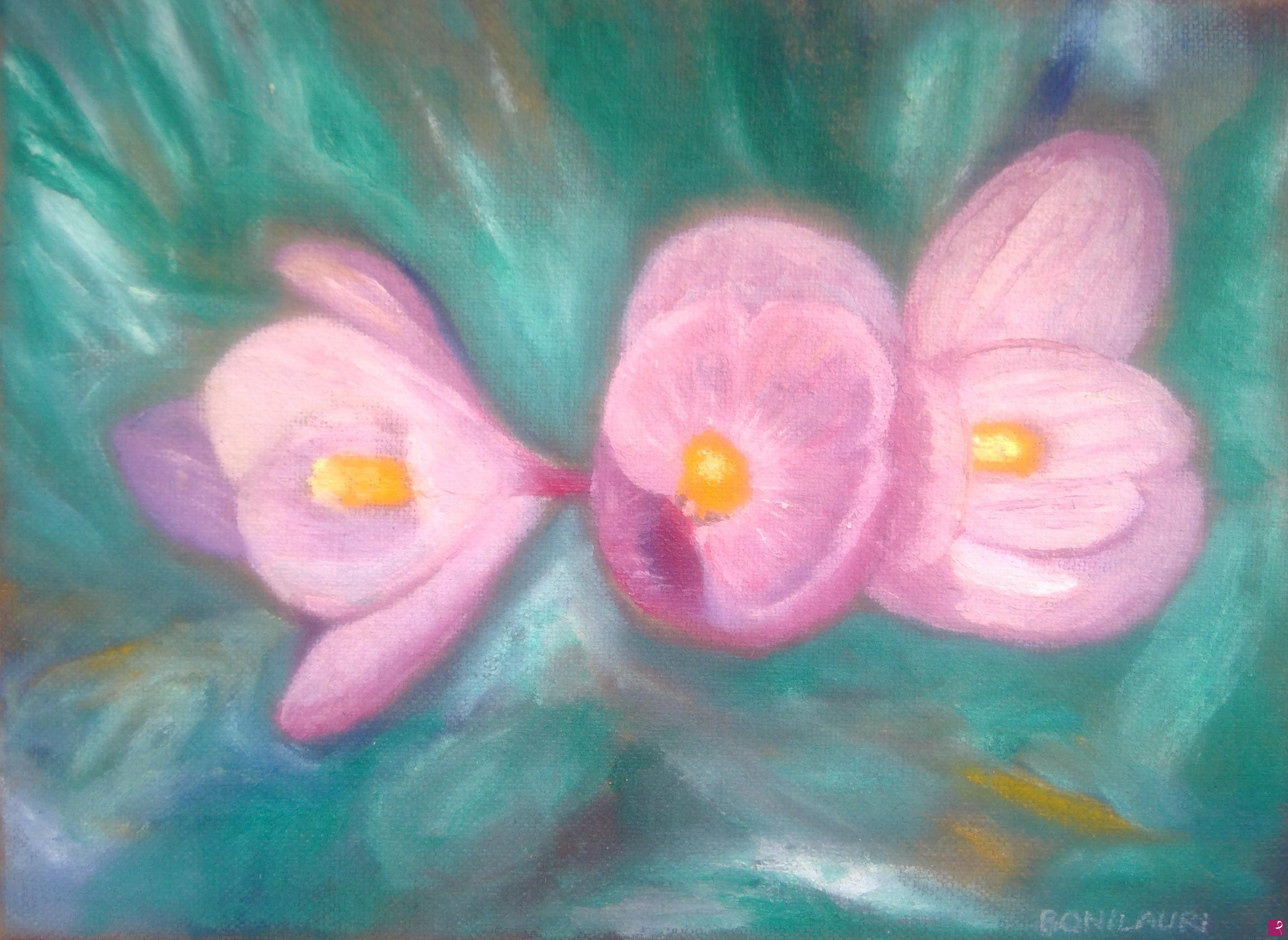 quadri in vendita online - Crocus