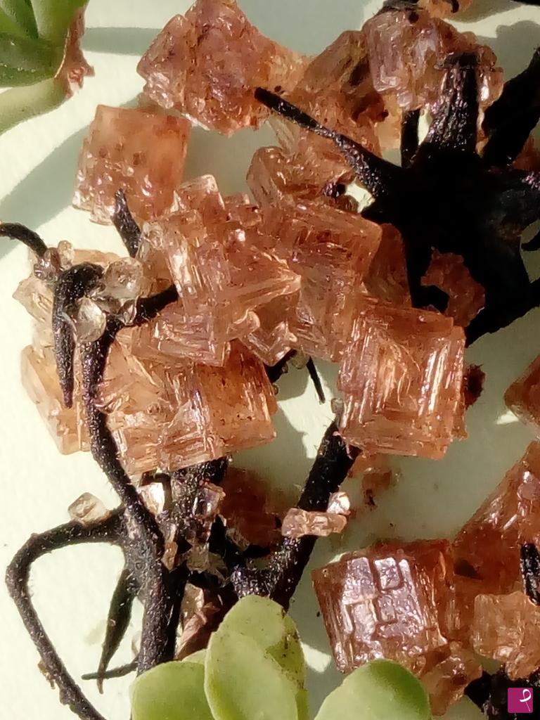 quadri in vendita online - CRYSTALS  SALT