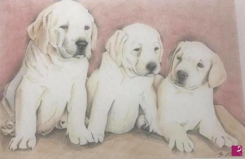 quadri in vendita online - cuccioli di labrador