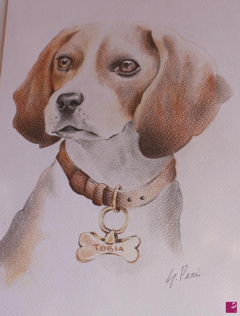 quadri in vendita online - cucciolo di beagle "tobia"