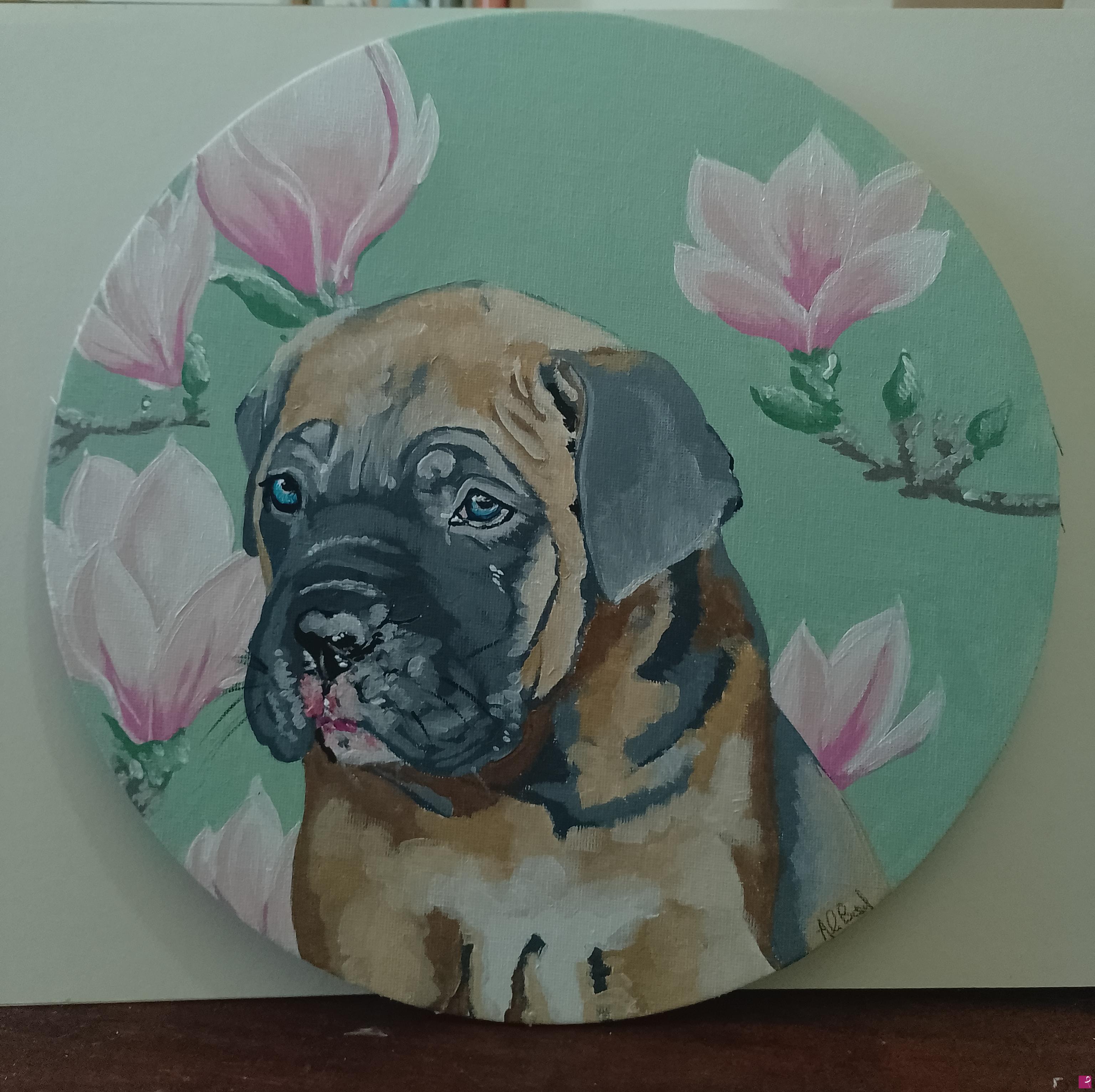 quadri in vendita online - Cucciolo di cane corso con fiori di magnolia 