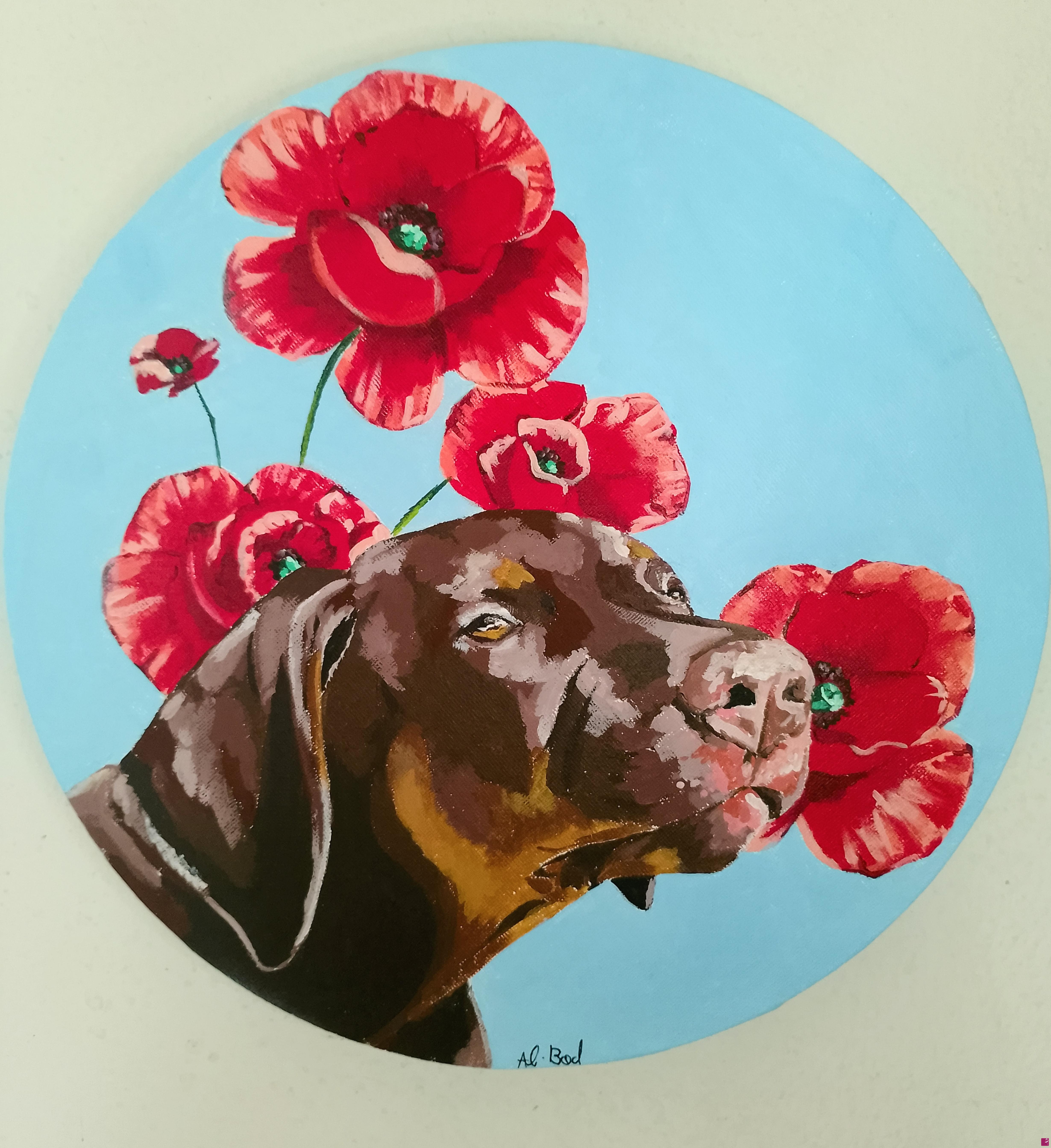 quadri in vendita online - Cucciolo di Dobermann marrone e papaveri