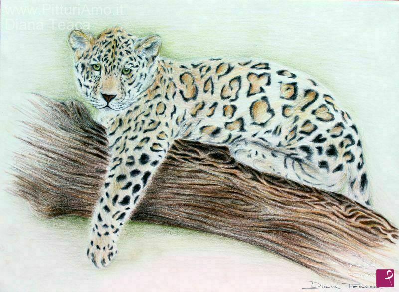 quadri in vendita online - Cucciolo di leopardo