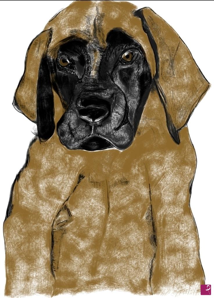 quadri in vendita online - Cucciolo di Mastiff