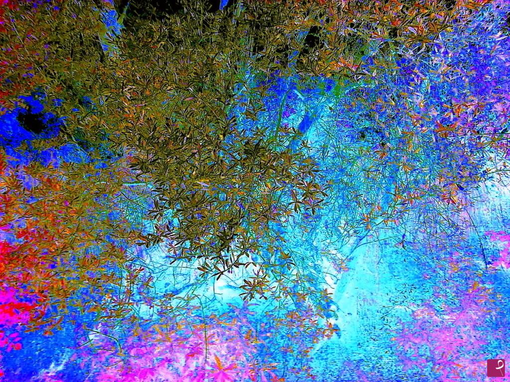 quadri in vendita online - DANZA  LUNARE