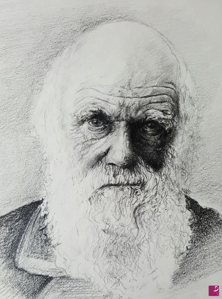 quadri in vendita online - Darwin