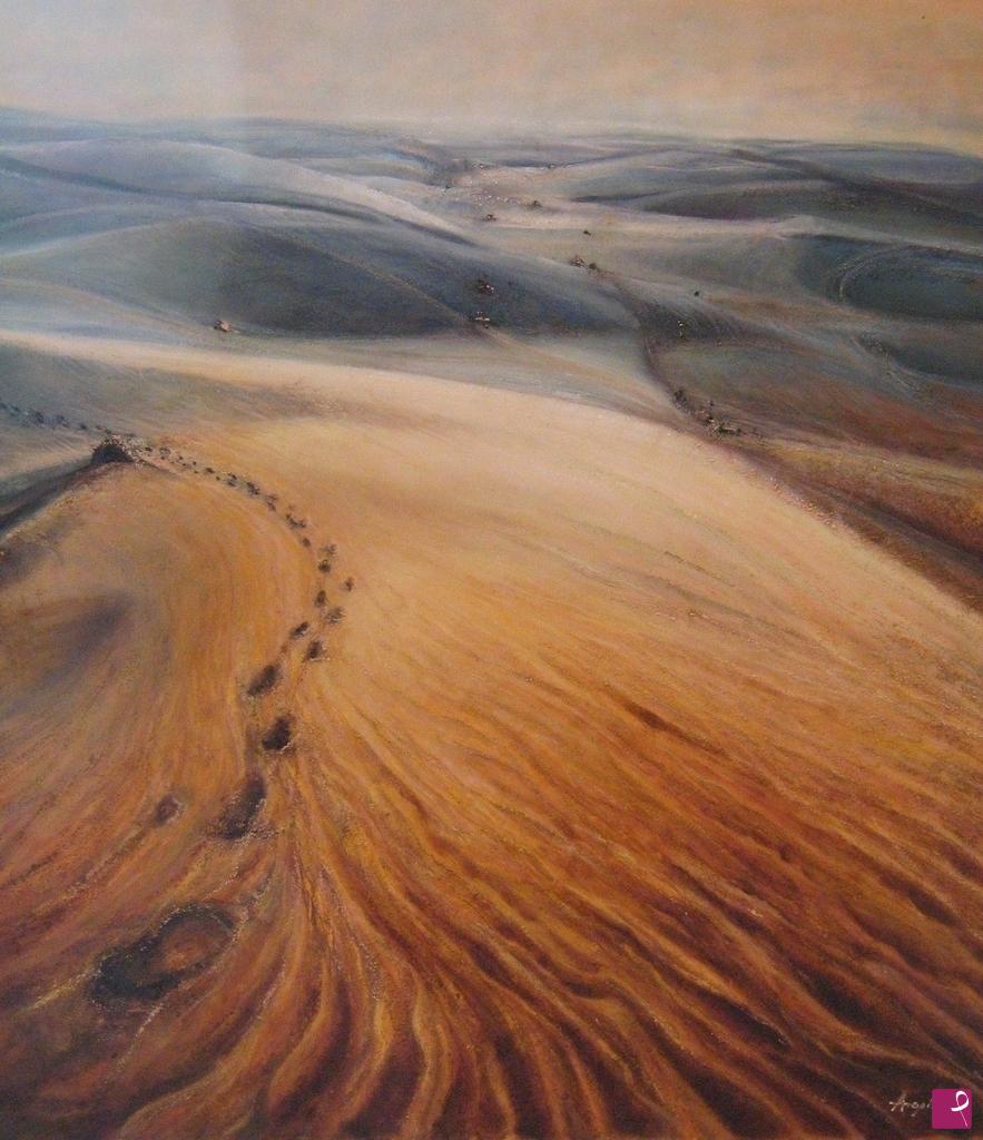 quadri in vendita online - deserto