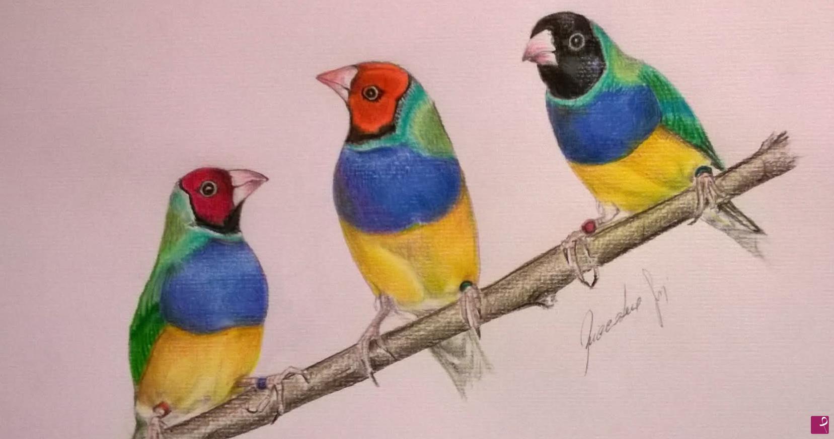quadri in vendita online - Diamante di Gould