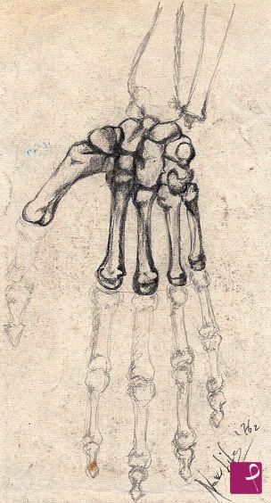 quadri in vendita online - Disegni anatomici - la mano-