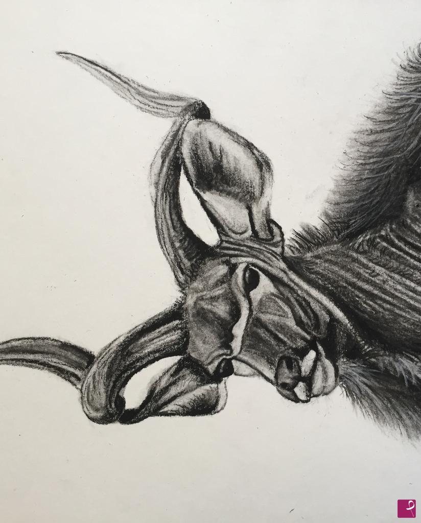 quadri in vendita online - Disegno carboncino Kudu