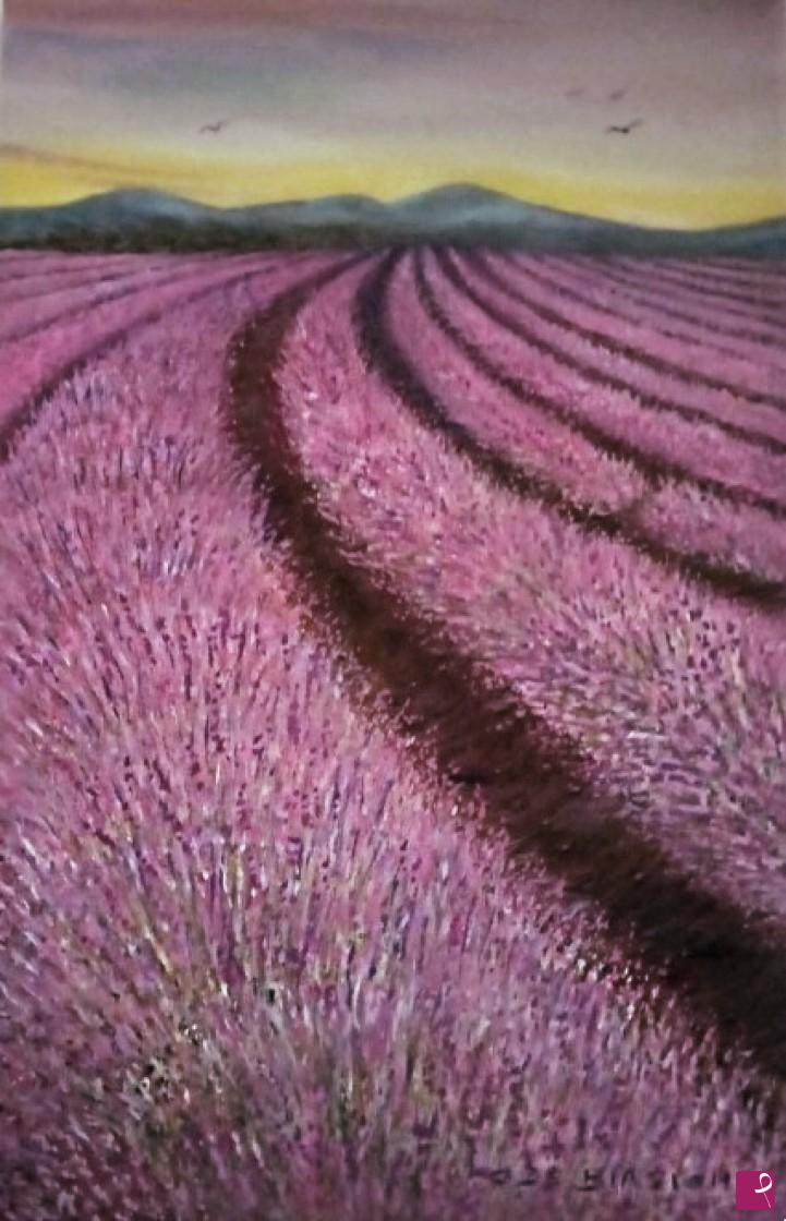 quadri in vendita online - distesa   di  lavanda  olio   su   tela 40x60