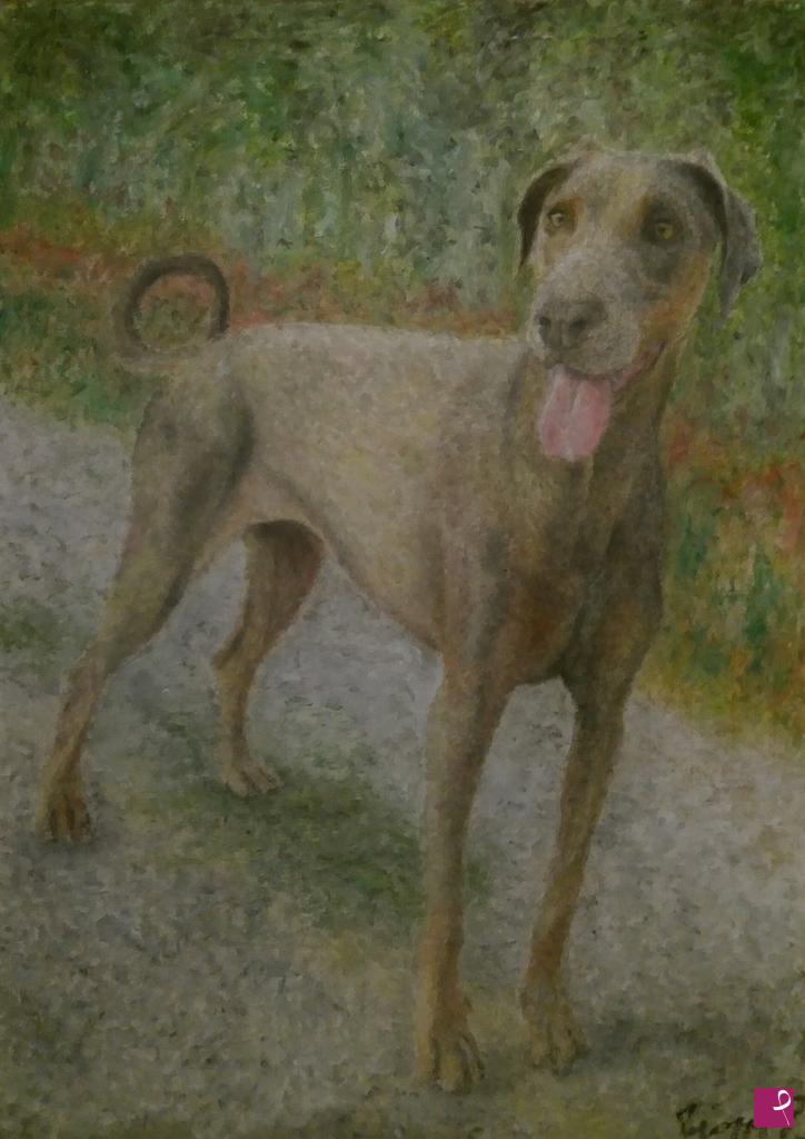 quadri in vendita online - DOBERMANN