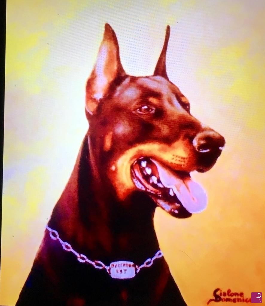 quadri in vendita online - Dobermann 