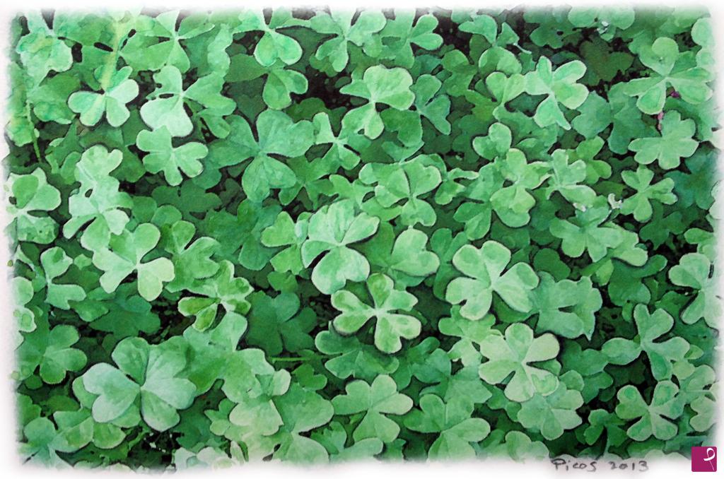 quadri in vendita online - Dolce campo trifoglio