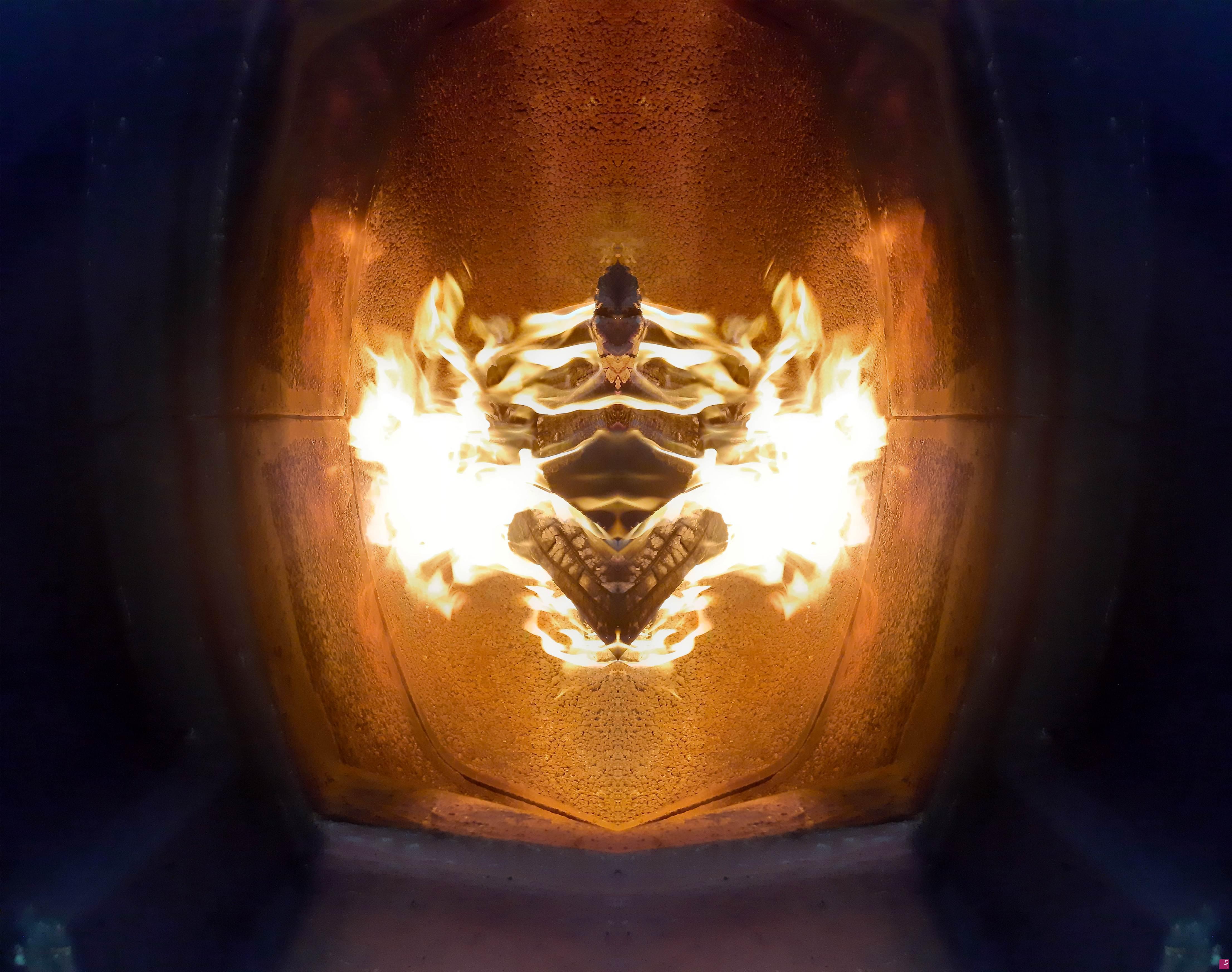 quadri in vendita online - Dragon