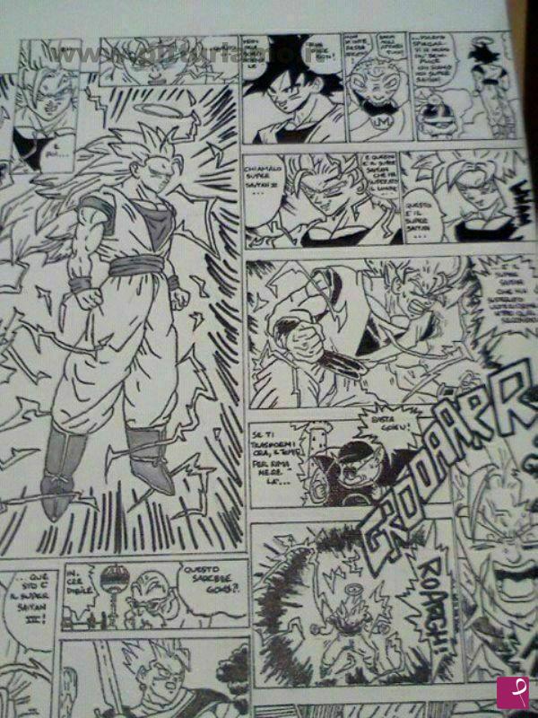 quadri in vendita online - Dragon Ball