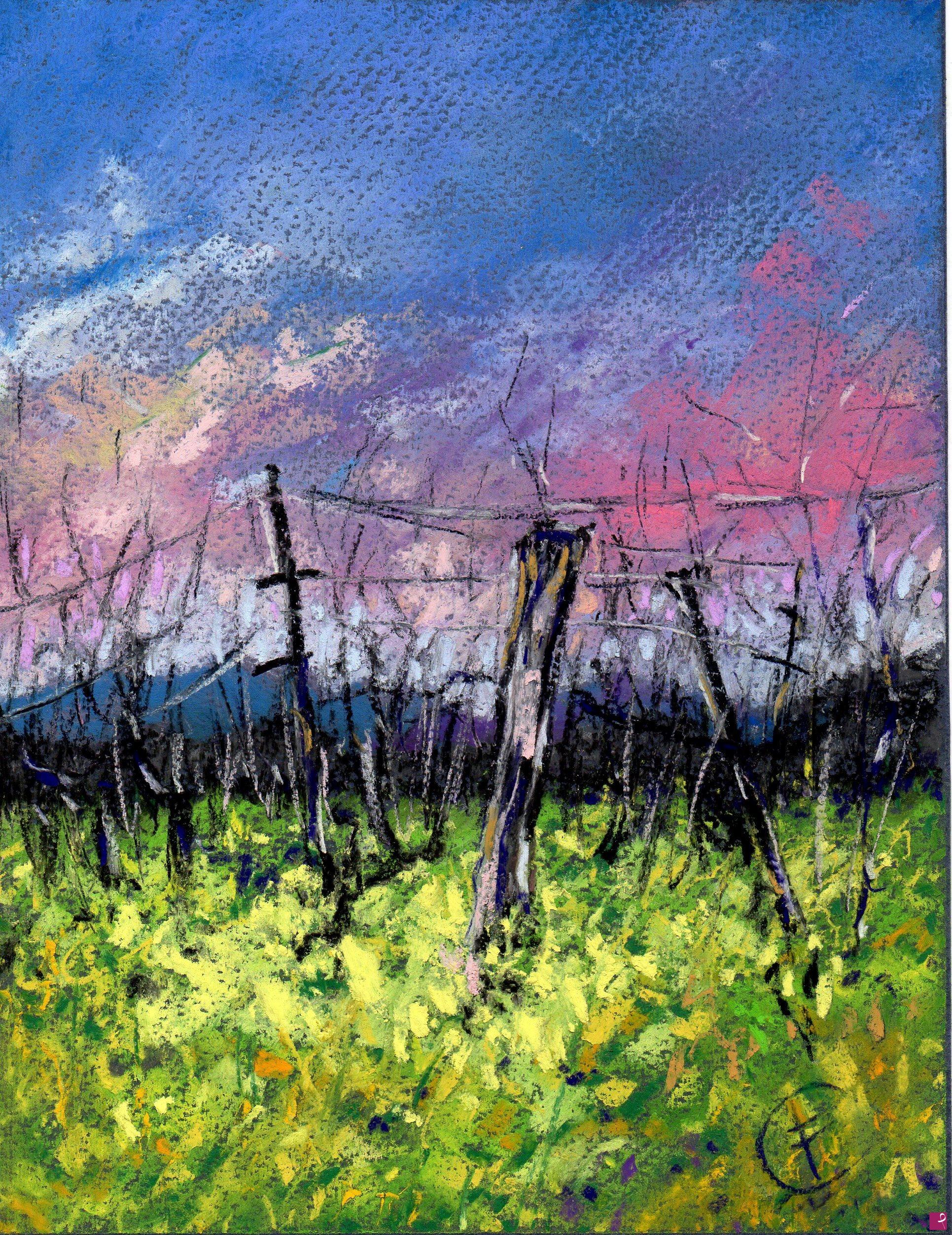 quadri in vendita online - DRY CREEK VALLEY, CALIFORNIA