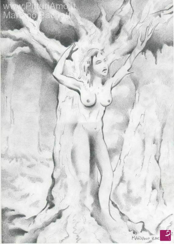 quadri in vendita online - Dryad