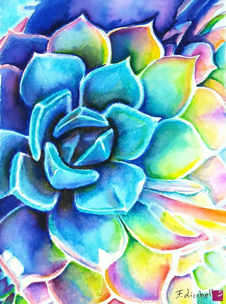 quadri in vendita online - Echeveria arcobaleno