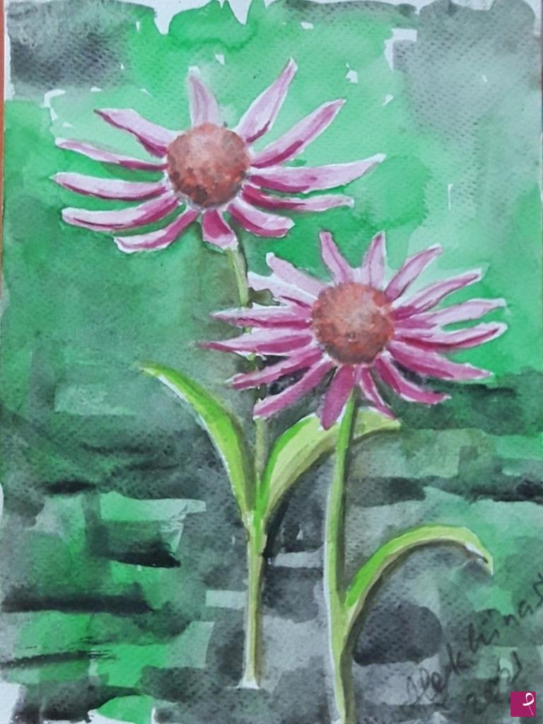 quadri in vendita online - Echinacea