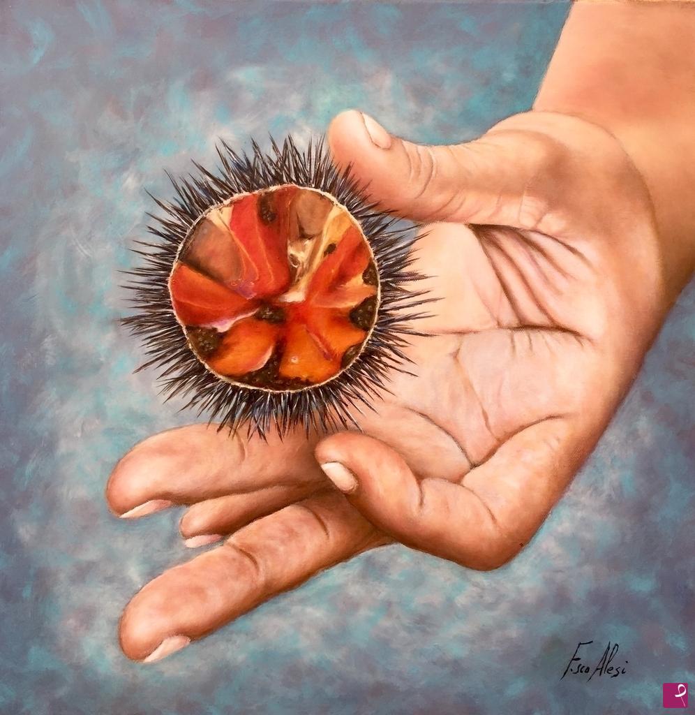 quadri in vendita online - Echinoidea