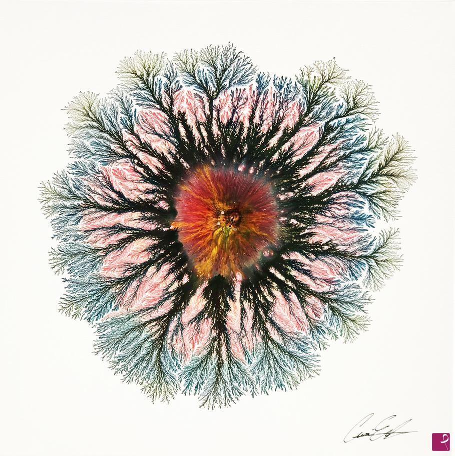 quadri in vendita online - Eclipsed Explosion Volcano
