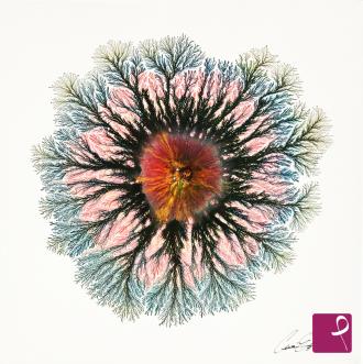 Quadro venduto su PitturiAmo