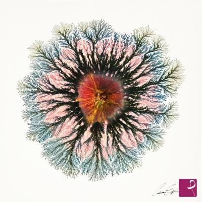 Quadro venduto su PitturiAmo