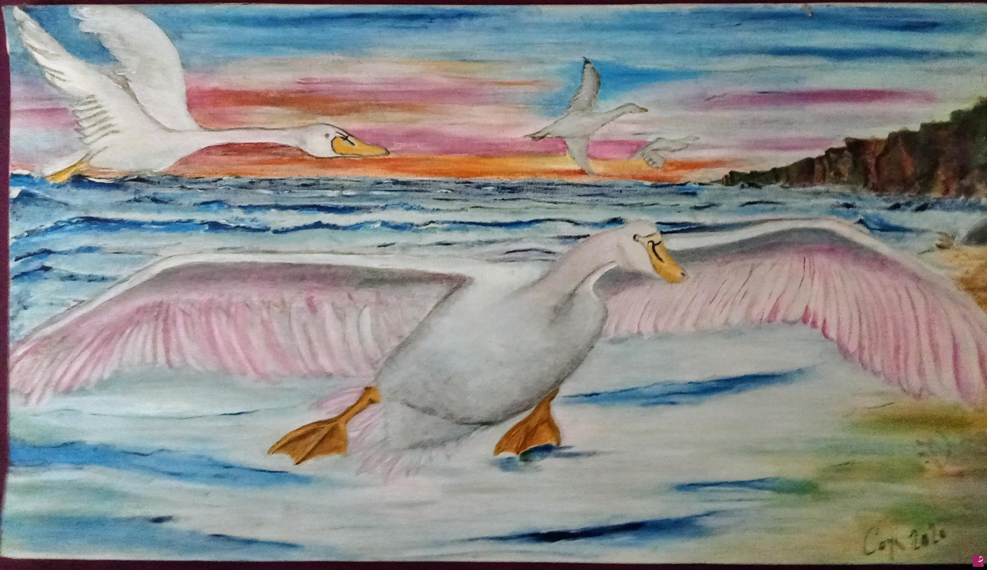 quadri in vendita online - El Cisne Ärtico. Polaris