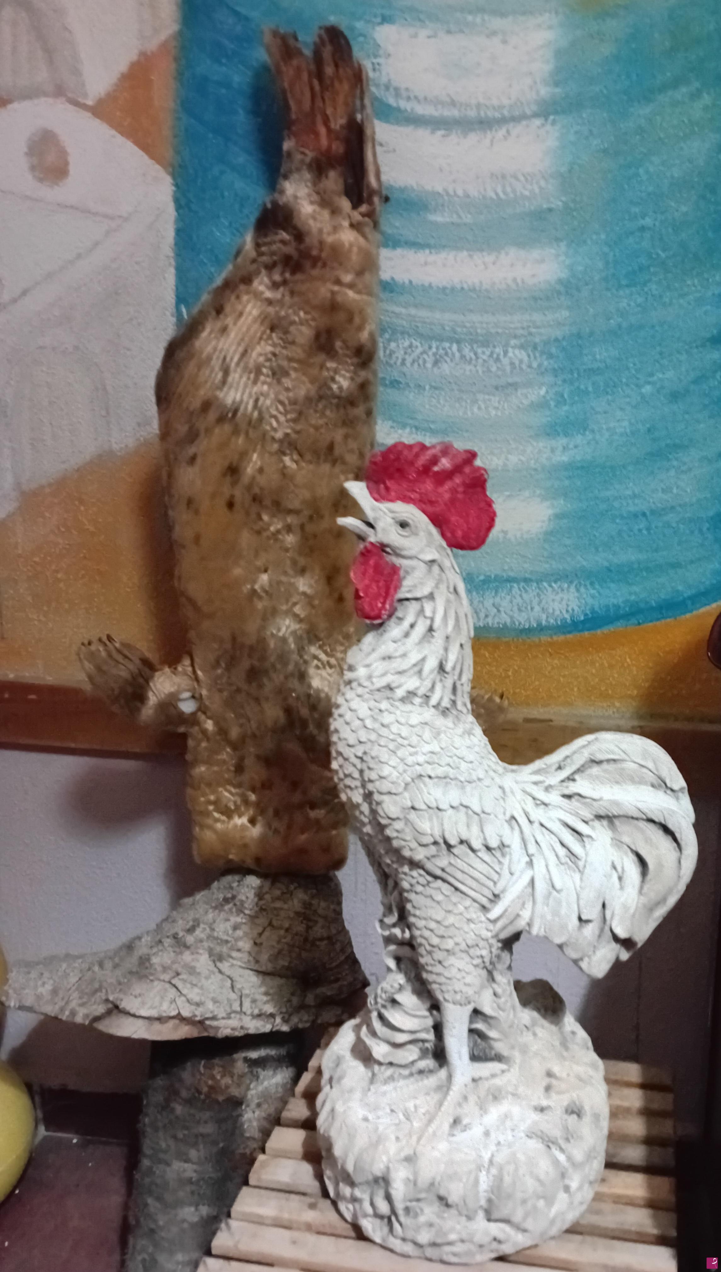 quadri in vendita online - El Conejo otro Castor,el y El Gallo de Lavapies