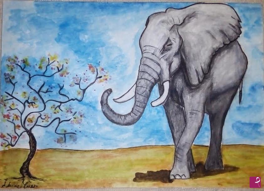 quadri in vendita online - elefante