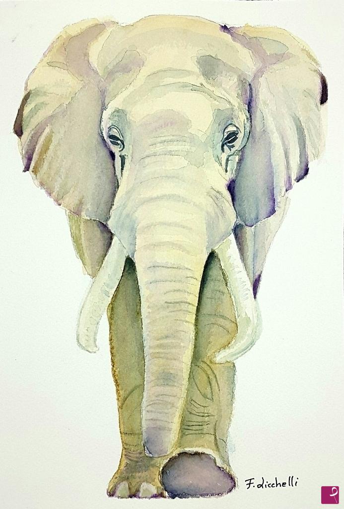 quadri in vendita online - Elefante 