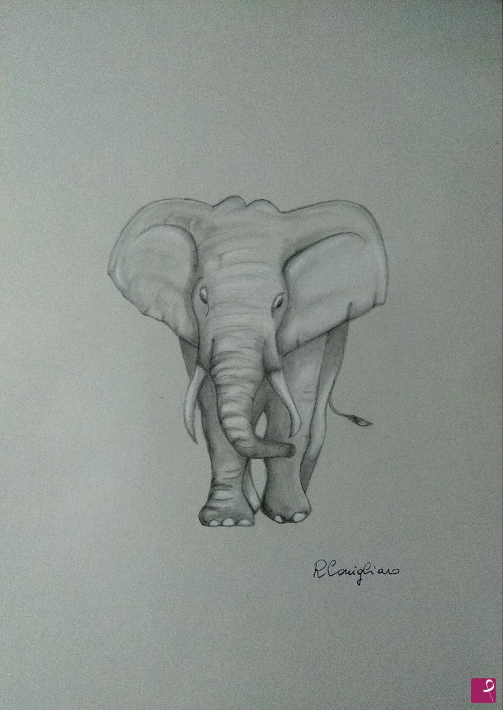 quadri in vendita online - Elefante