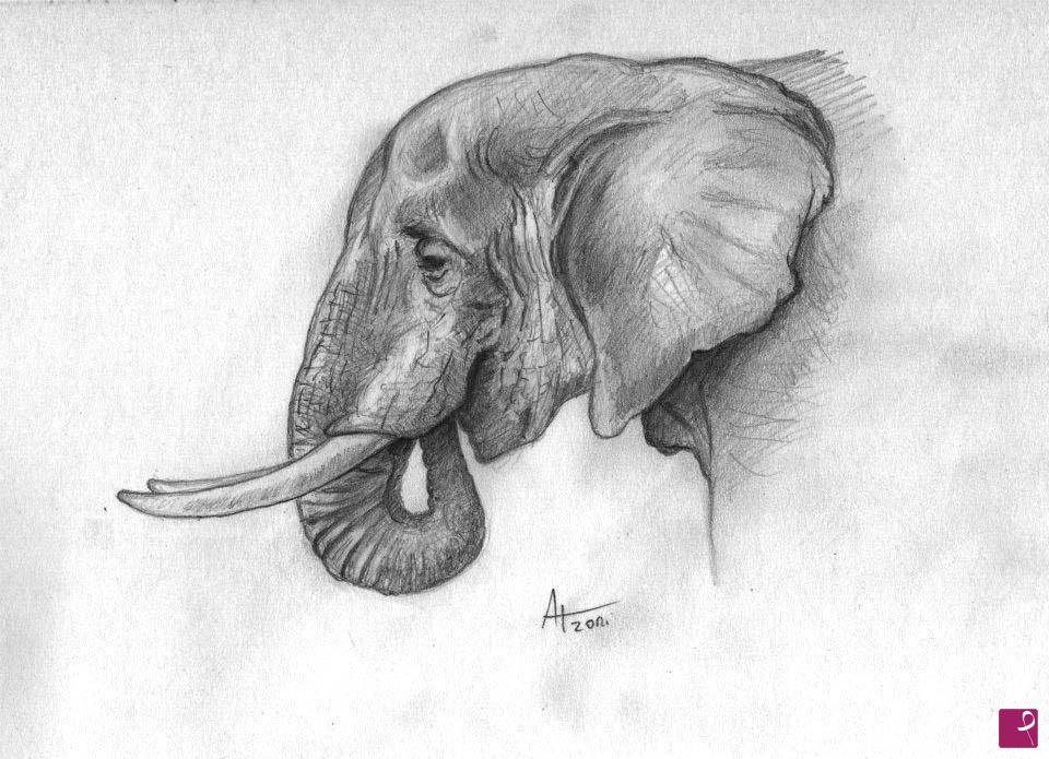 quadri in vendita online - elefante