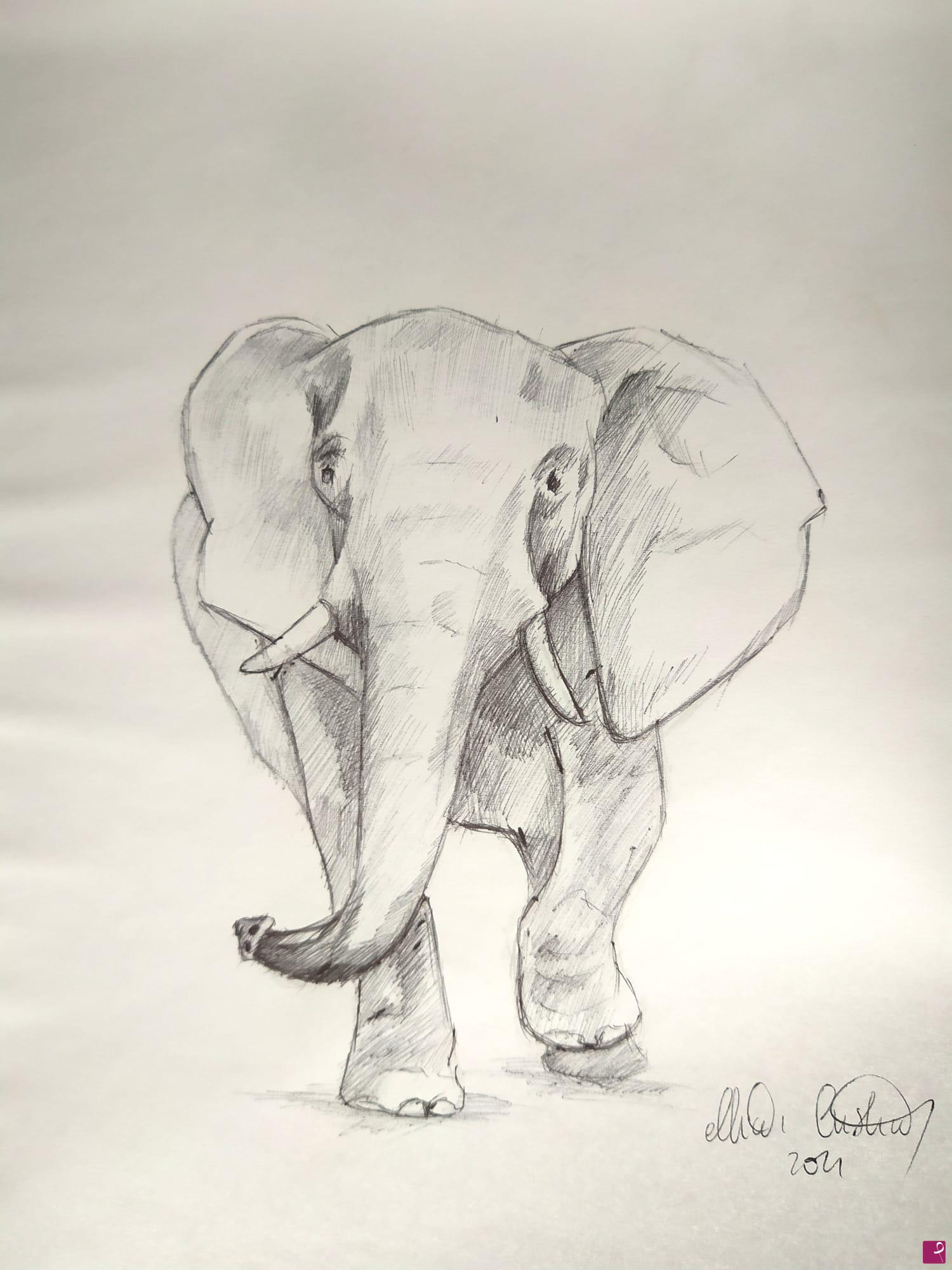 quadri in vendita online - Elefante 2
