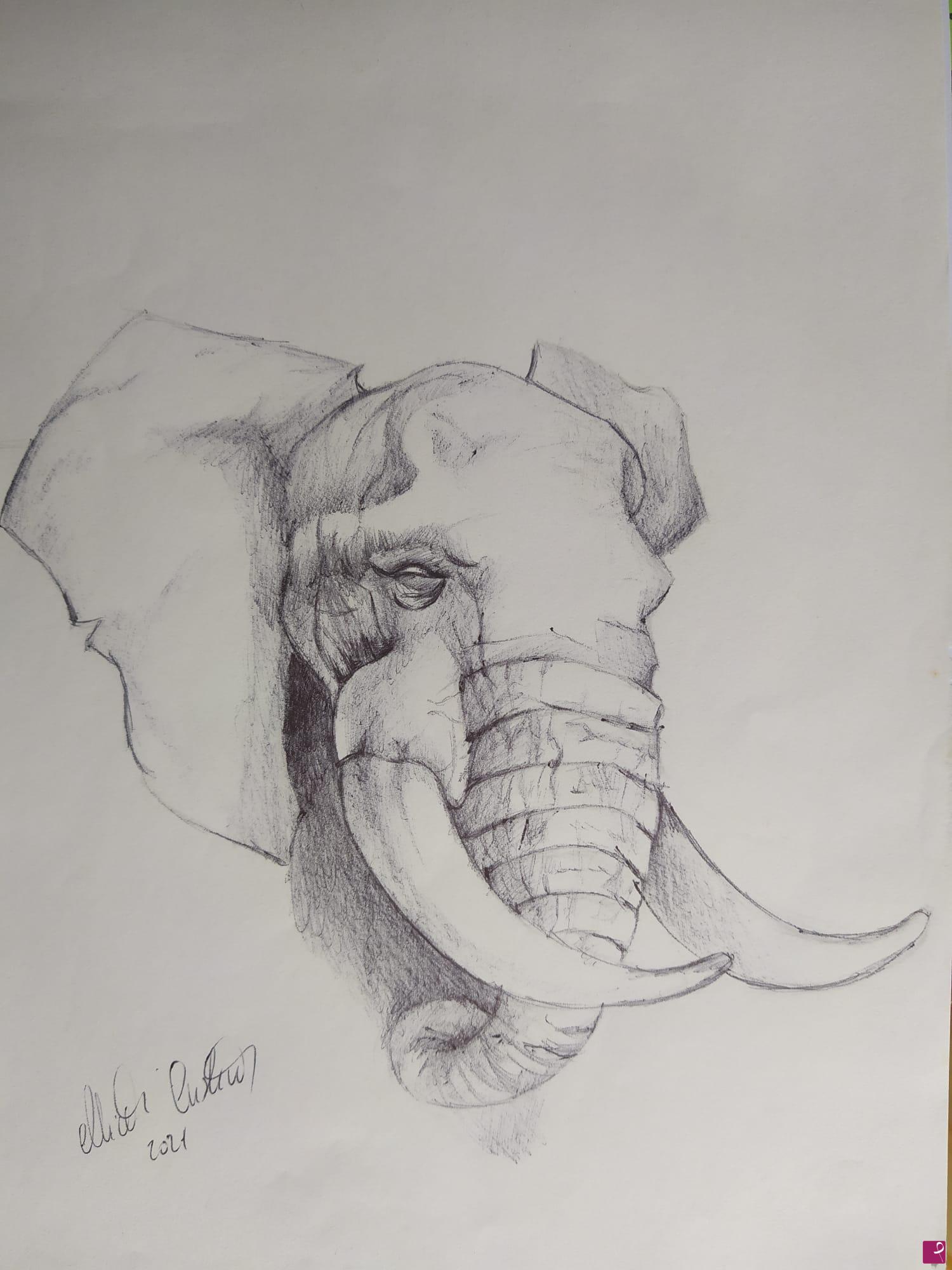 quadri in vendita online - Elefante
