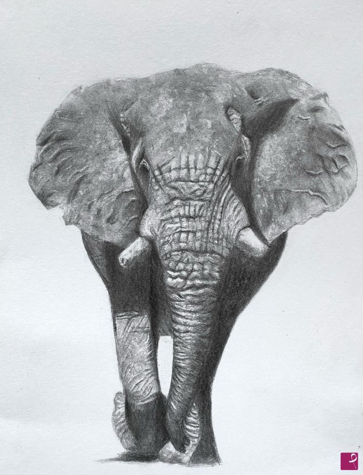quadri in vendita online - Elefante
