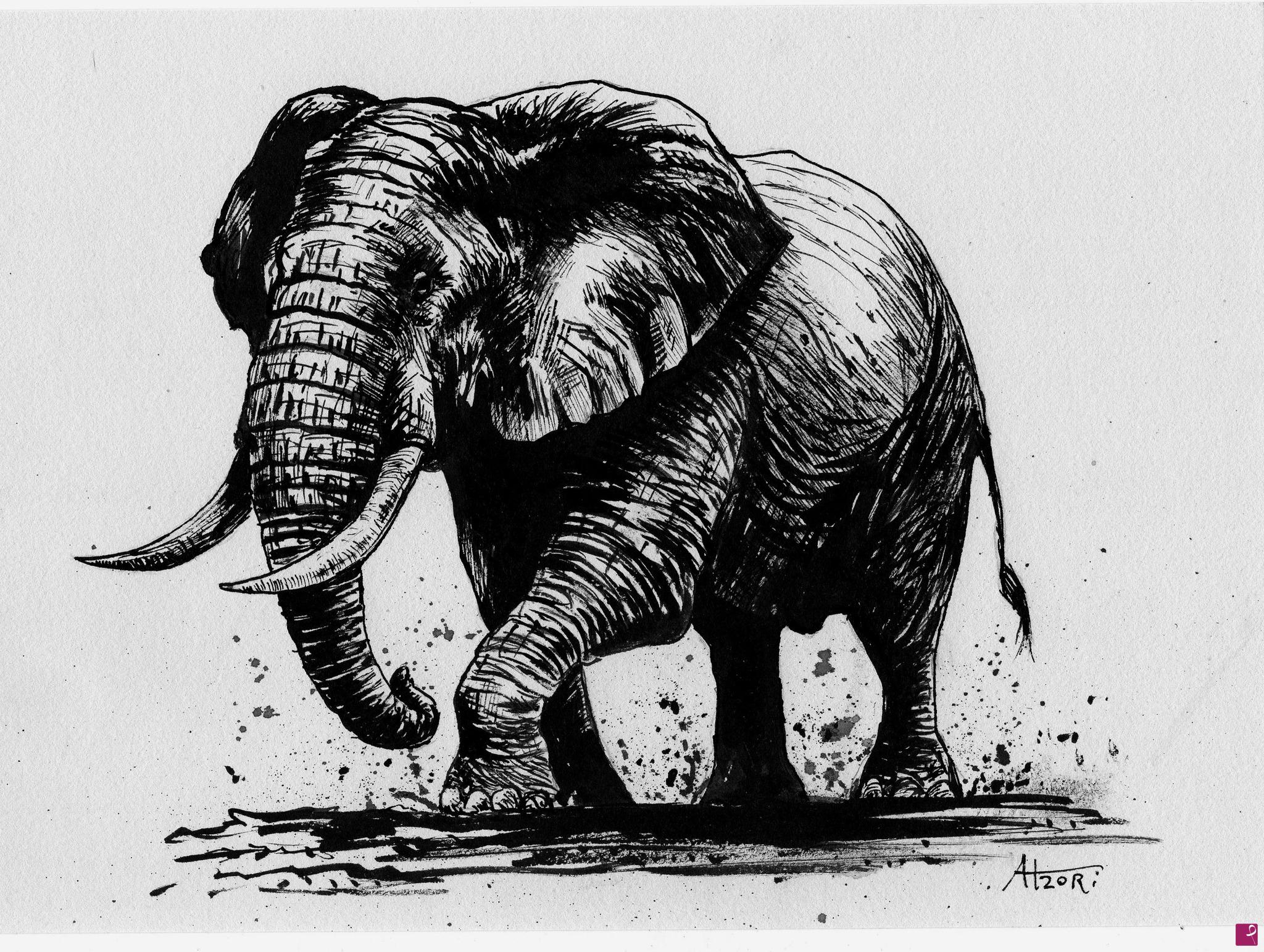 quadri in vendita online - Elefante n.4