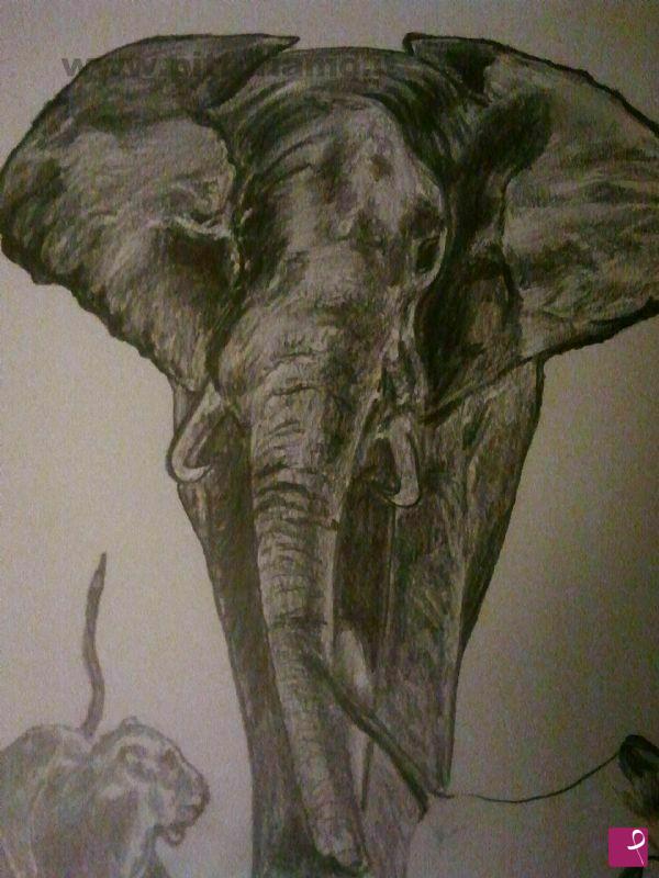quadri in vendita online - Elephant