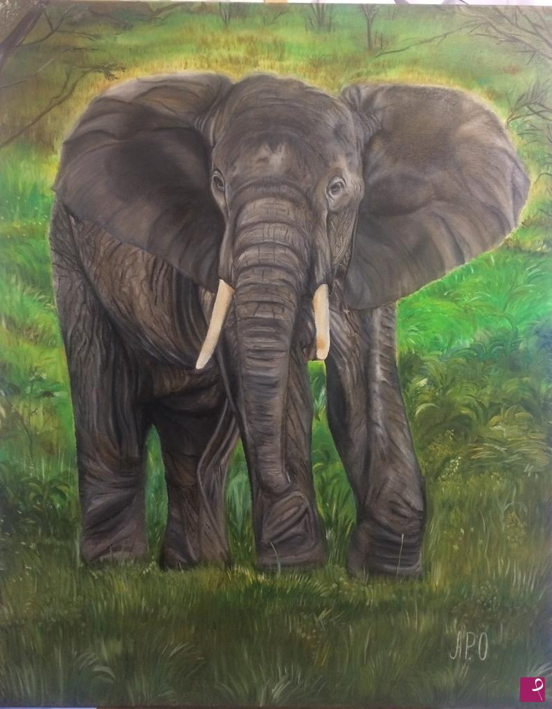 quadri in vendita online - Elephant 