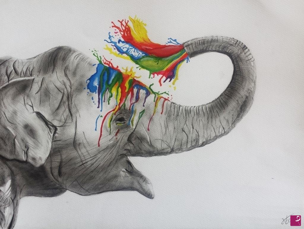 quadri in vendita online - Elephant shower