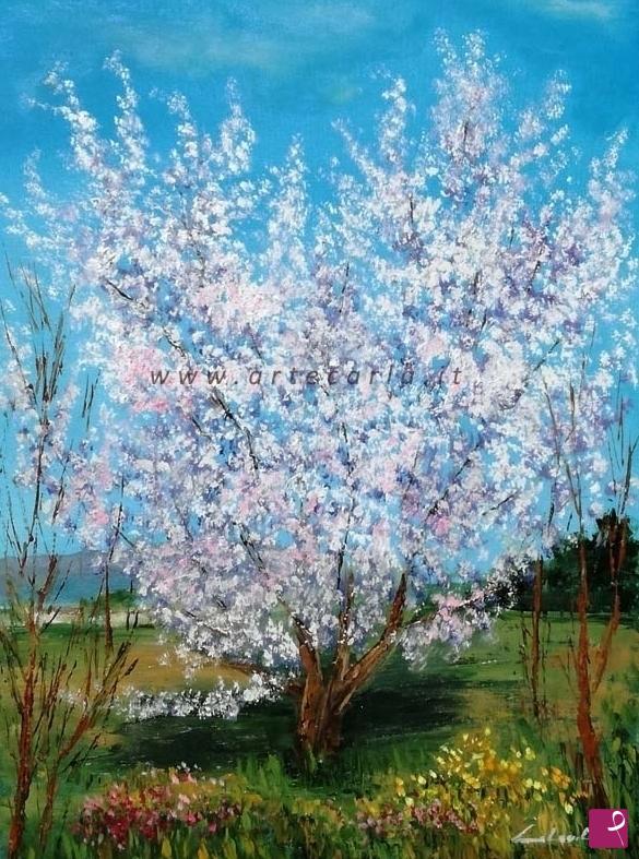 quadri in vendita online - Esplosione  del prugno in fiore - olio a spatola su teal 60x40 2021.jpg