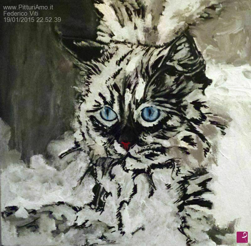 quadri in vendita online - Evanescenza Felina