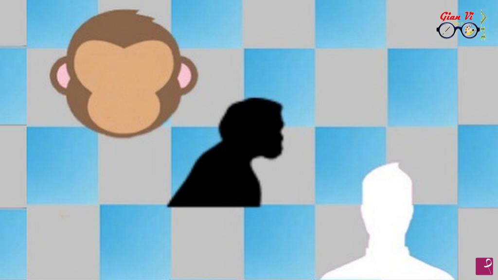 quadri in vendita online - Evoluzione 
