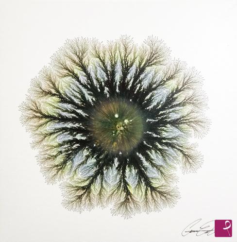 quadri in vendita online - Explosion of nature
