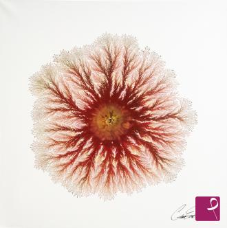 Quadro venduto su PitturiAmo