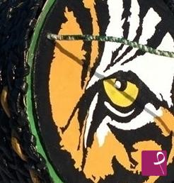 quadri in vendita online - EYE OF THE TIGER