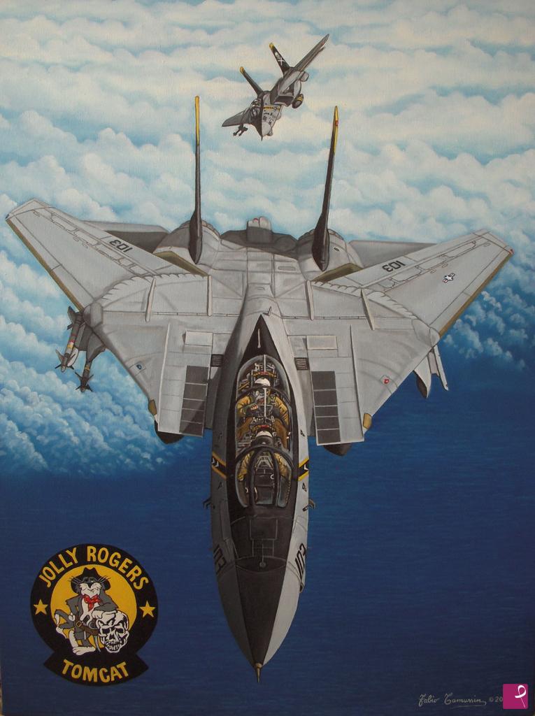 quadri in vendita online - F-14 TOMCAT  "JOLLY ROGERS"