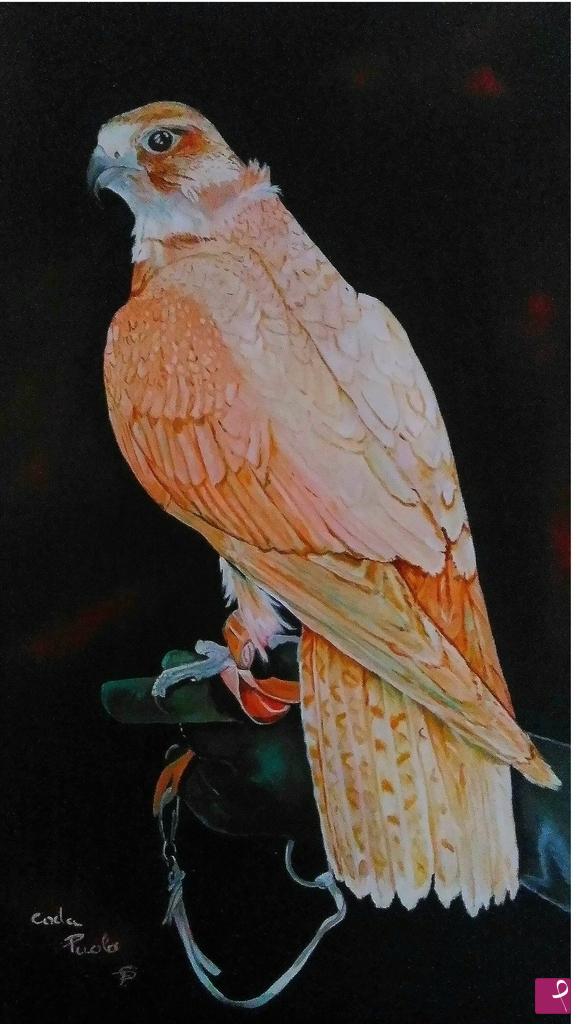 quadri in vendita online - Falconry